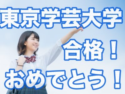 小論文 最短合格のオンライン指導 Sky予備校 全国通信制